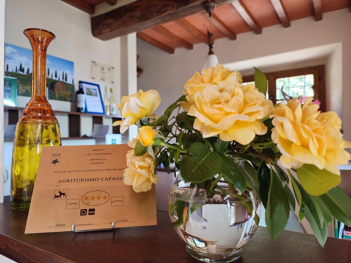 Agroturismo Agriturismo Cafaggio Primo